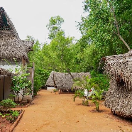 Nebula Nest Cafe & Hostel Auroville Exteriör bild