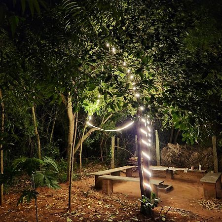 Nebula Nest Cafe & Hostel Auroville Exteriör bild