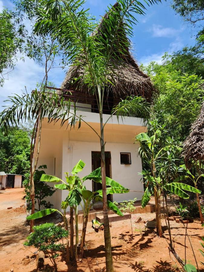 Nebula Nest Cafe & Hostel Auroville Exteriör bild