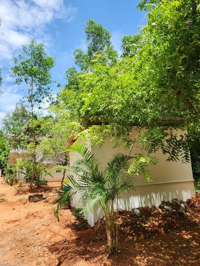 Nebula Nest Cafe & Hostel Auroville Exteriör bild
