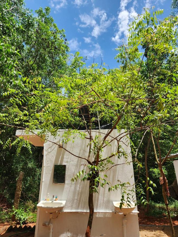 Nebula Nest Cafe & Hostel Auroville Exteriör bild