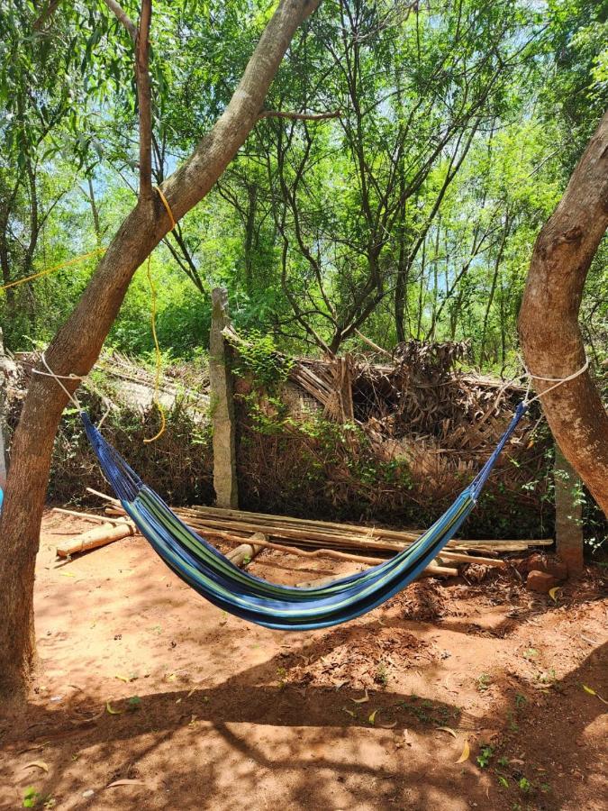 Nebula Nest Cafe & Hostel Auroville Exteriör bild
