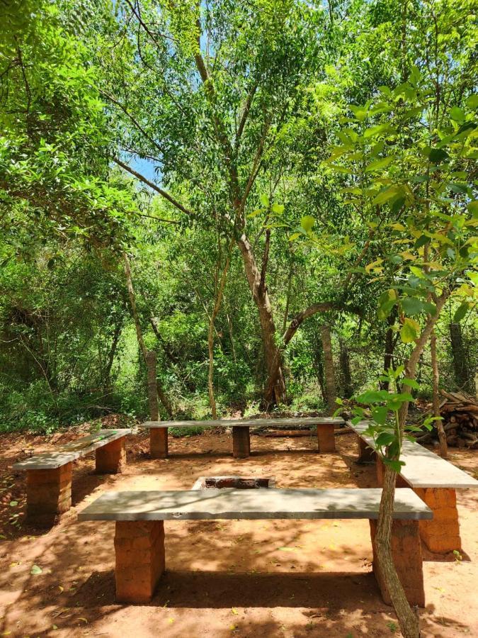 Nebula Nest Cafe & Hostel Auroville Exteriör bild