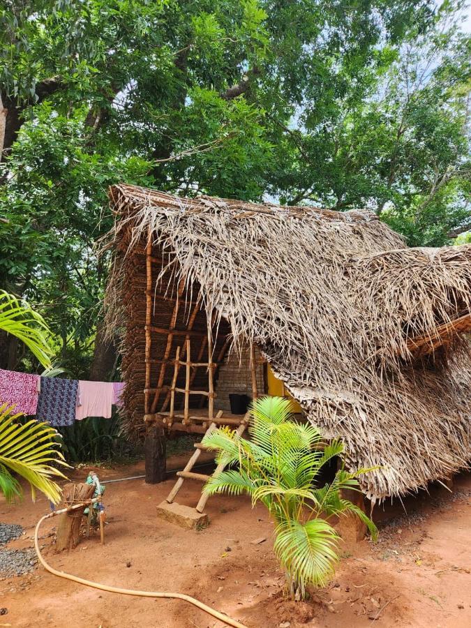 Nebula Nest Cafe & Hostel Auroville Exteriör bild