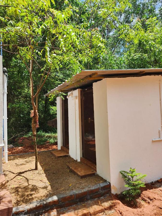 Nebula Nest Cafe & Hostel Auroville Exteriör bild