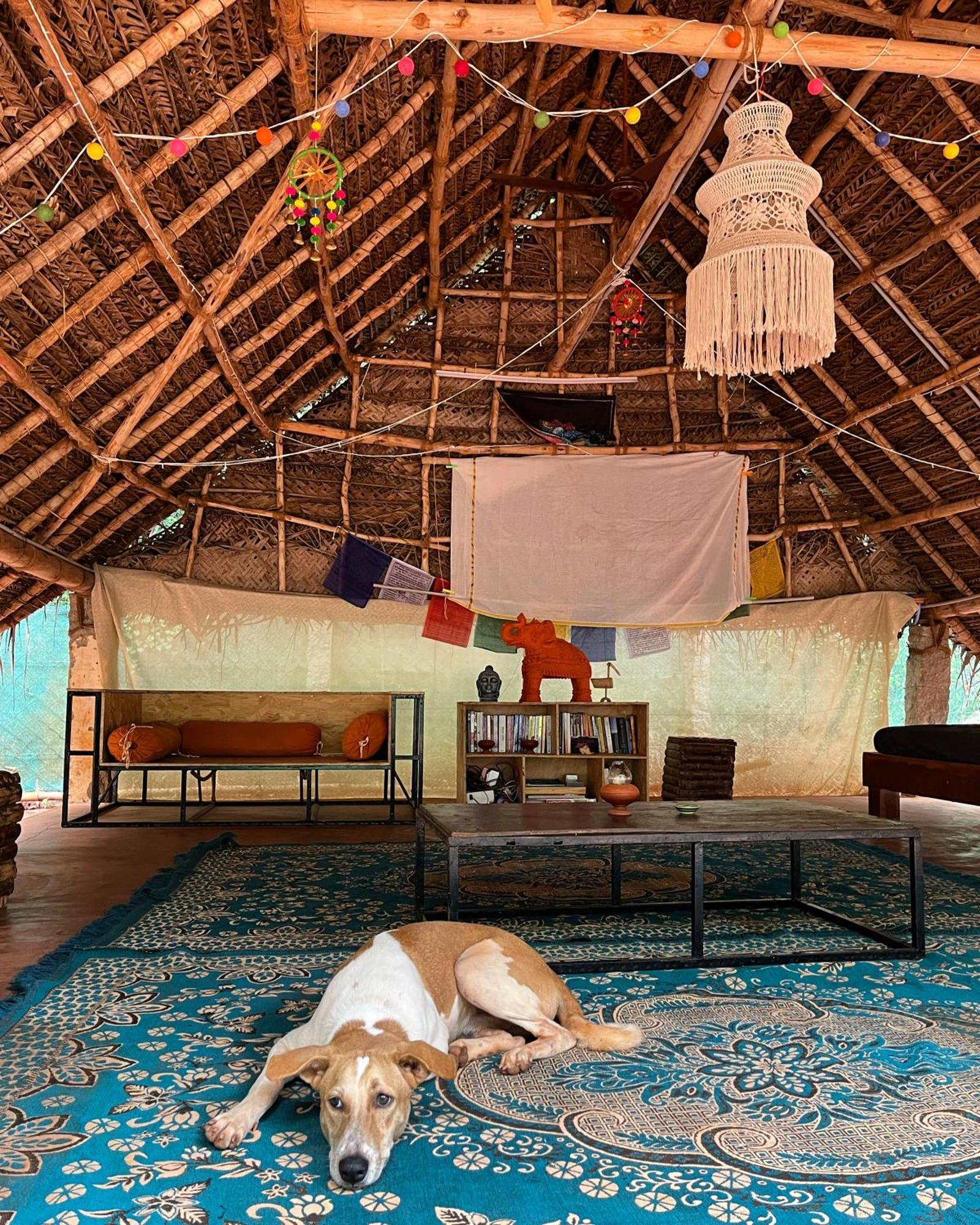 Nebula Nest Cafe & Hostel Auroville Exteriör bild