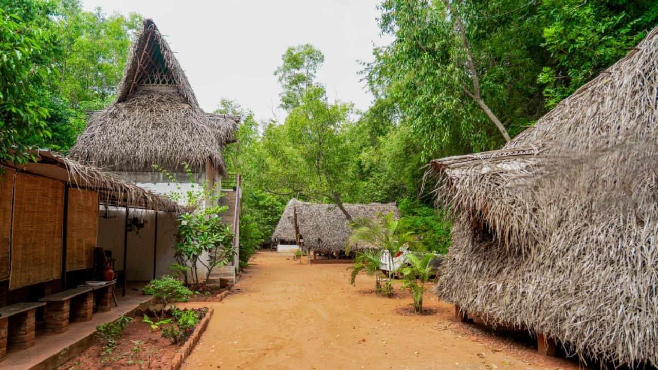 Nebula Nest Cafe & Hostel Auroville Exteriör bild