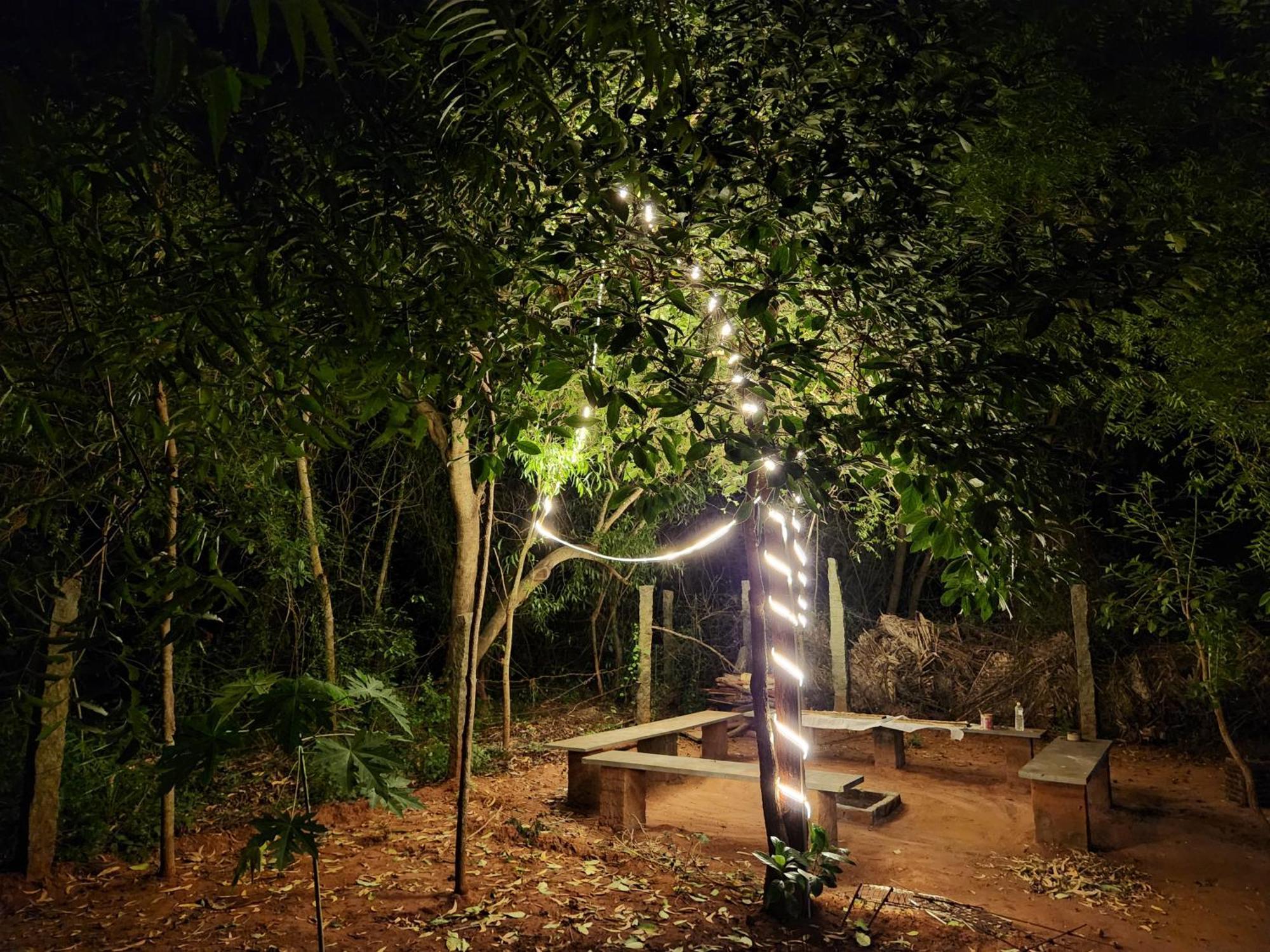 Nebula Nest Cafe & Hostel Auroville Exteriör bild